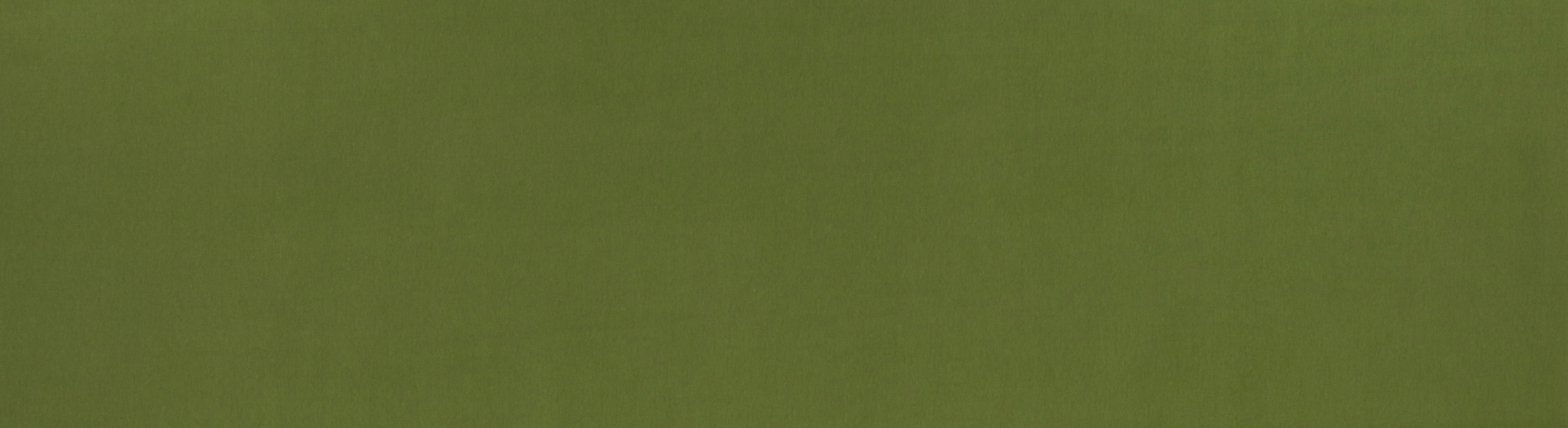 Bündchen, helles moosgrün