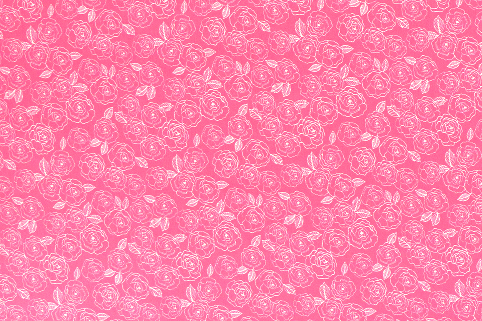 Soft French Terry , Rosen auf rosa