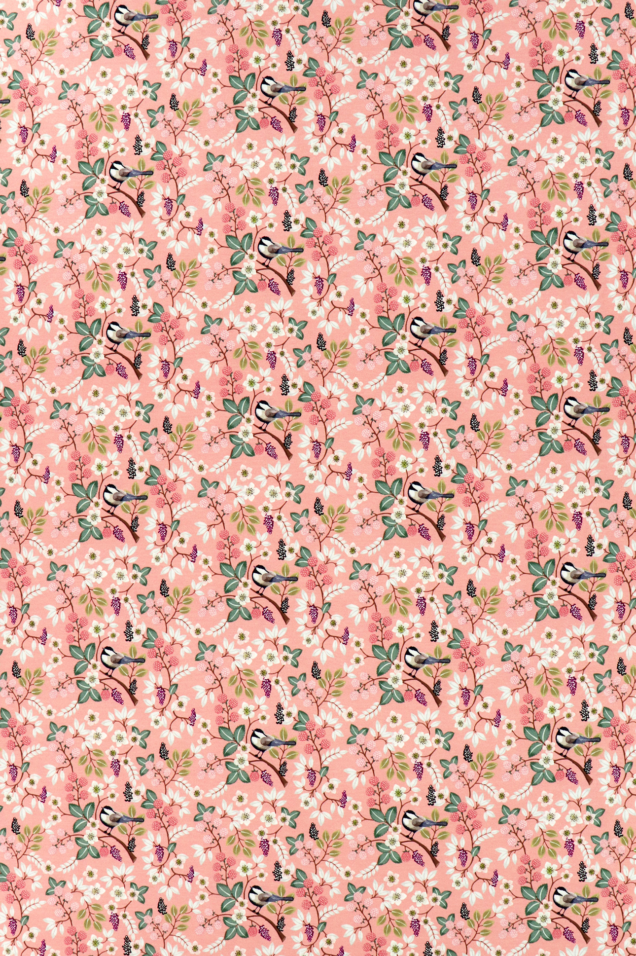 Jersey Fräulein von Julie, Vögelchen im Beerenstrauch apricot-rosa
