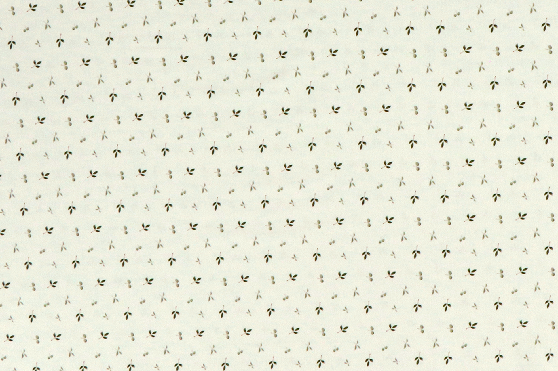 Baumwolljersey, kleine grüne Blätter auf weiß