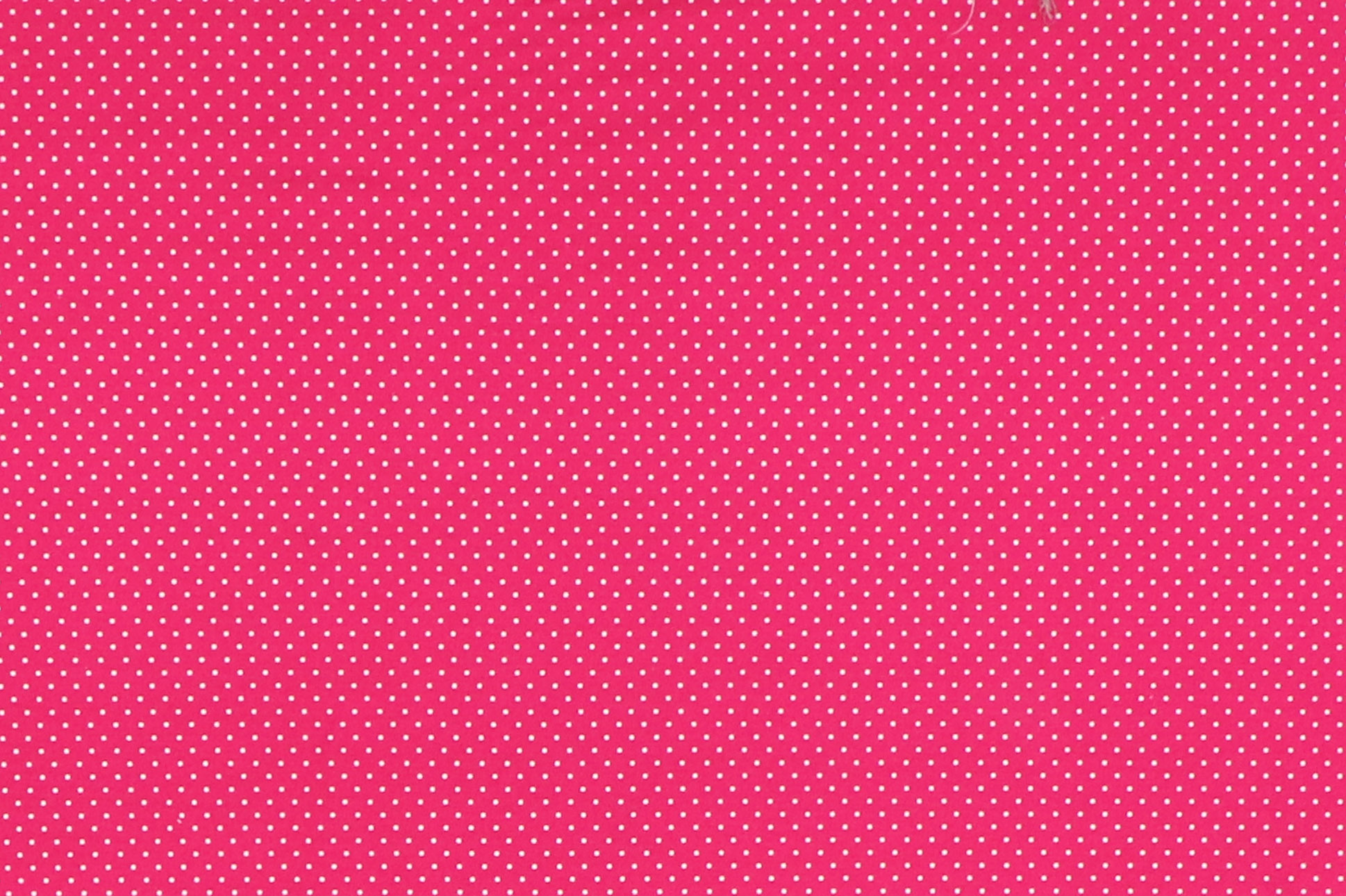 Baumwoll Popelin, pink kleine Punkte 