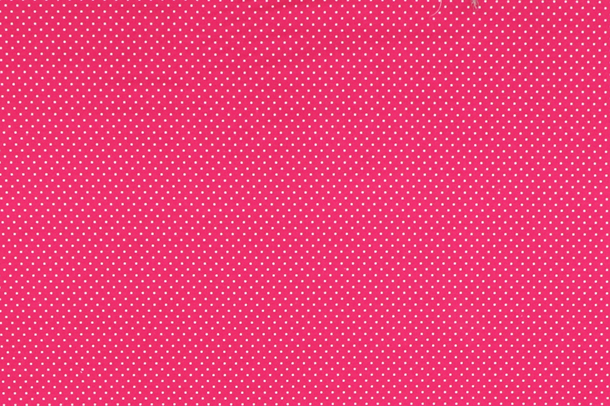Baumwoll Popelin, pink kleine Punkte 