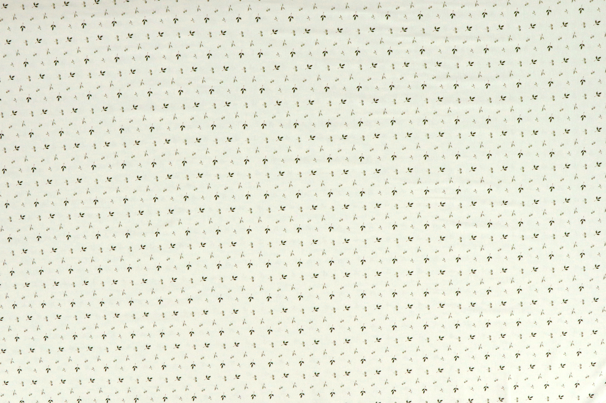 Baumwolljersey, kleine grüne Blätter auf weiß