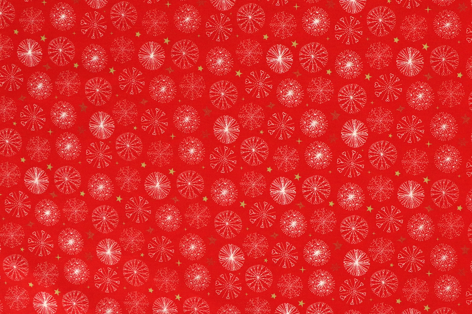 Baumwoll Popelin, Weihnachtssterne auf rot