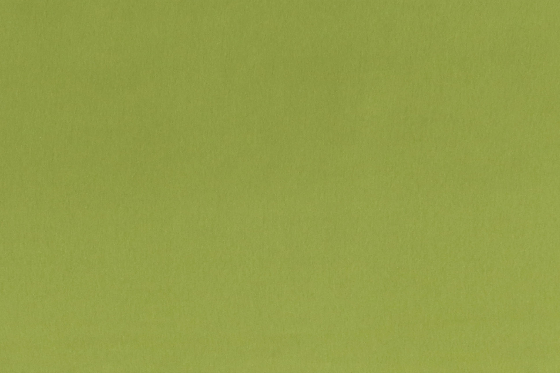 Bündchen, kiwi