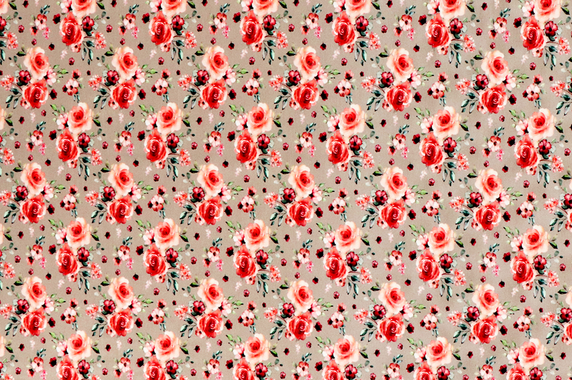 Baumwolljersey, rosa Rosen auf sand