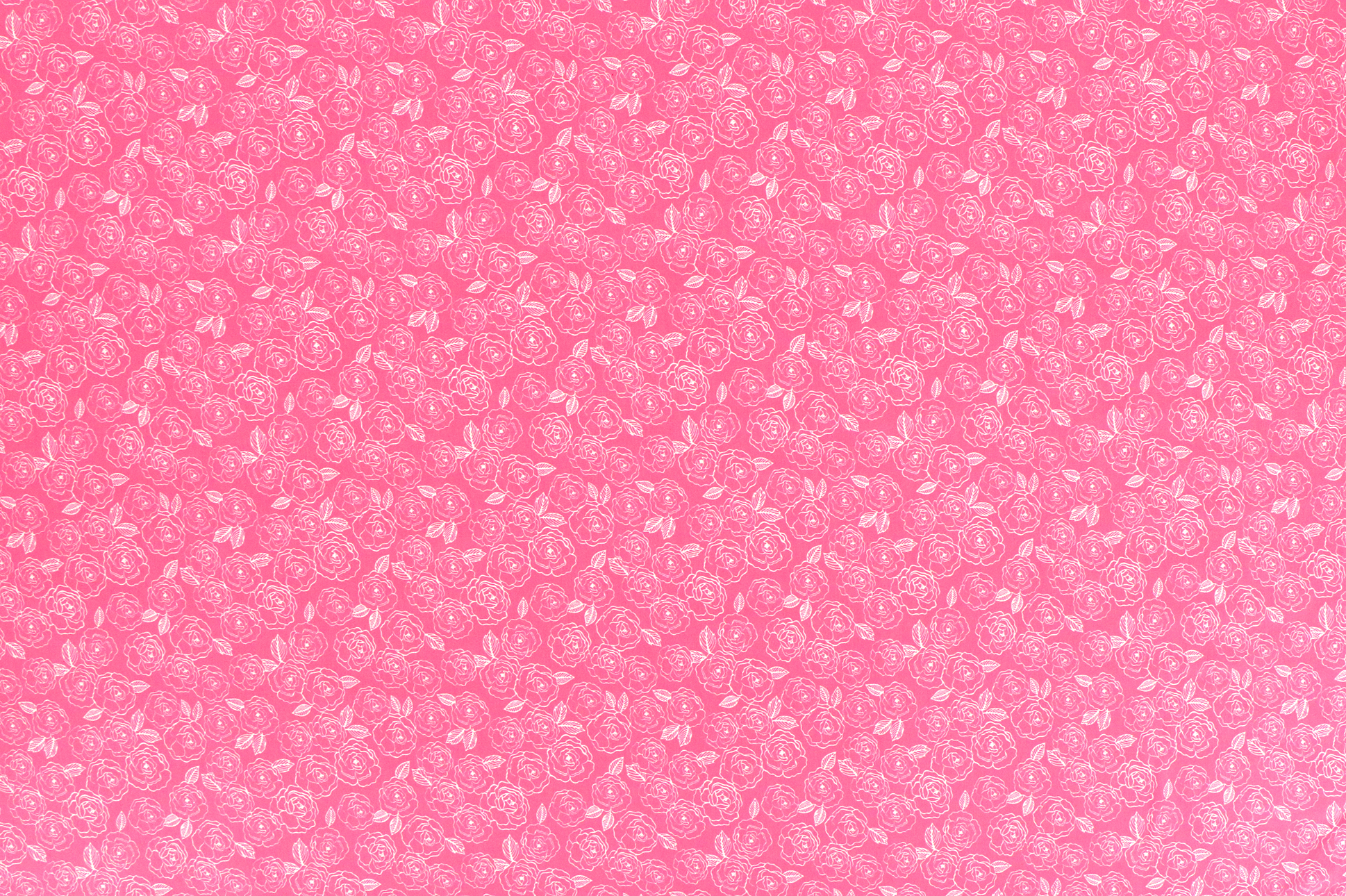 Soft French Terry , Rosen auf rosa