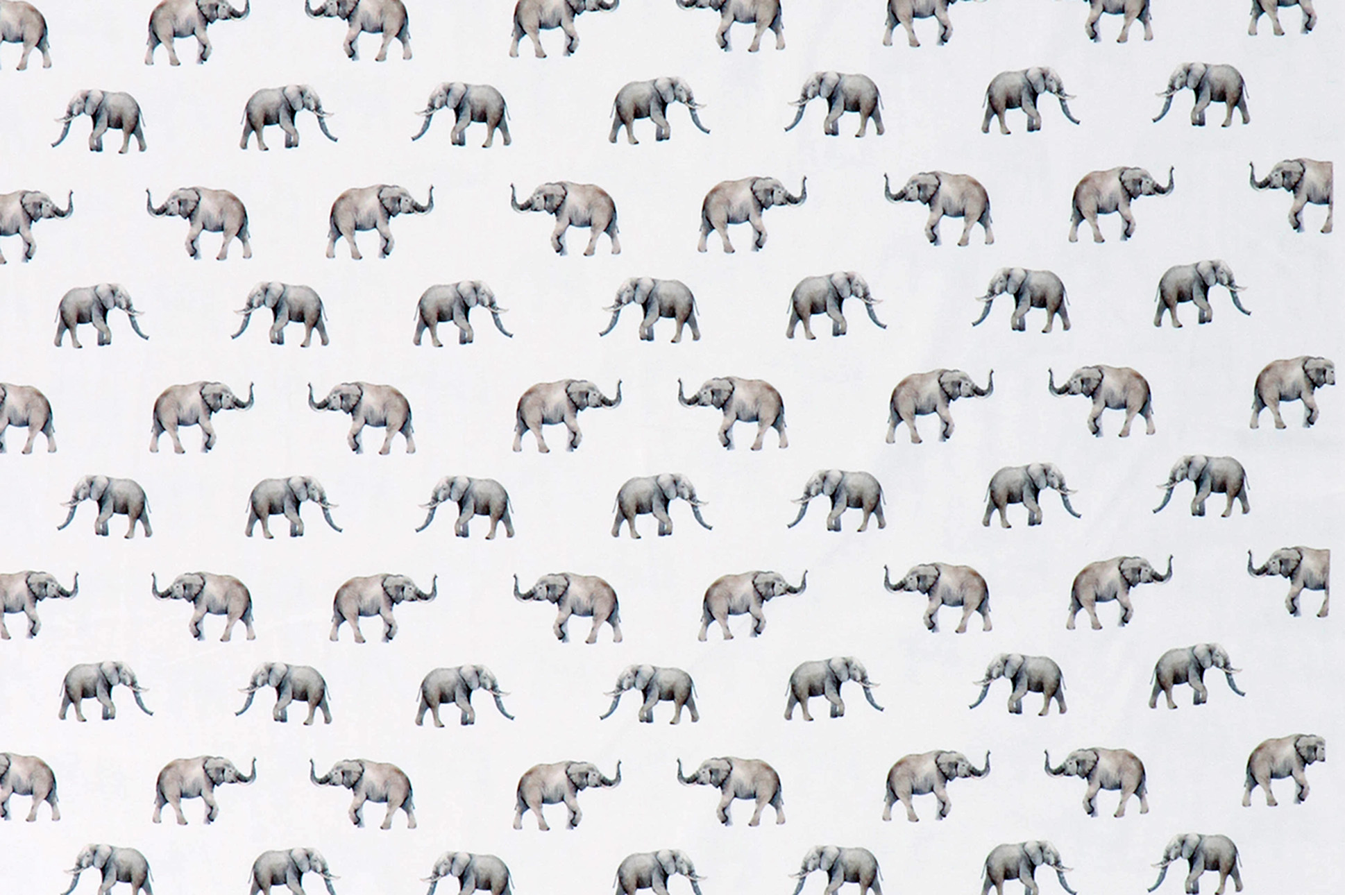 Baumwolljersey,  Elefanten