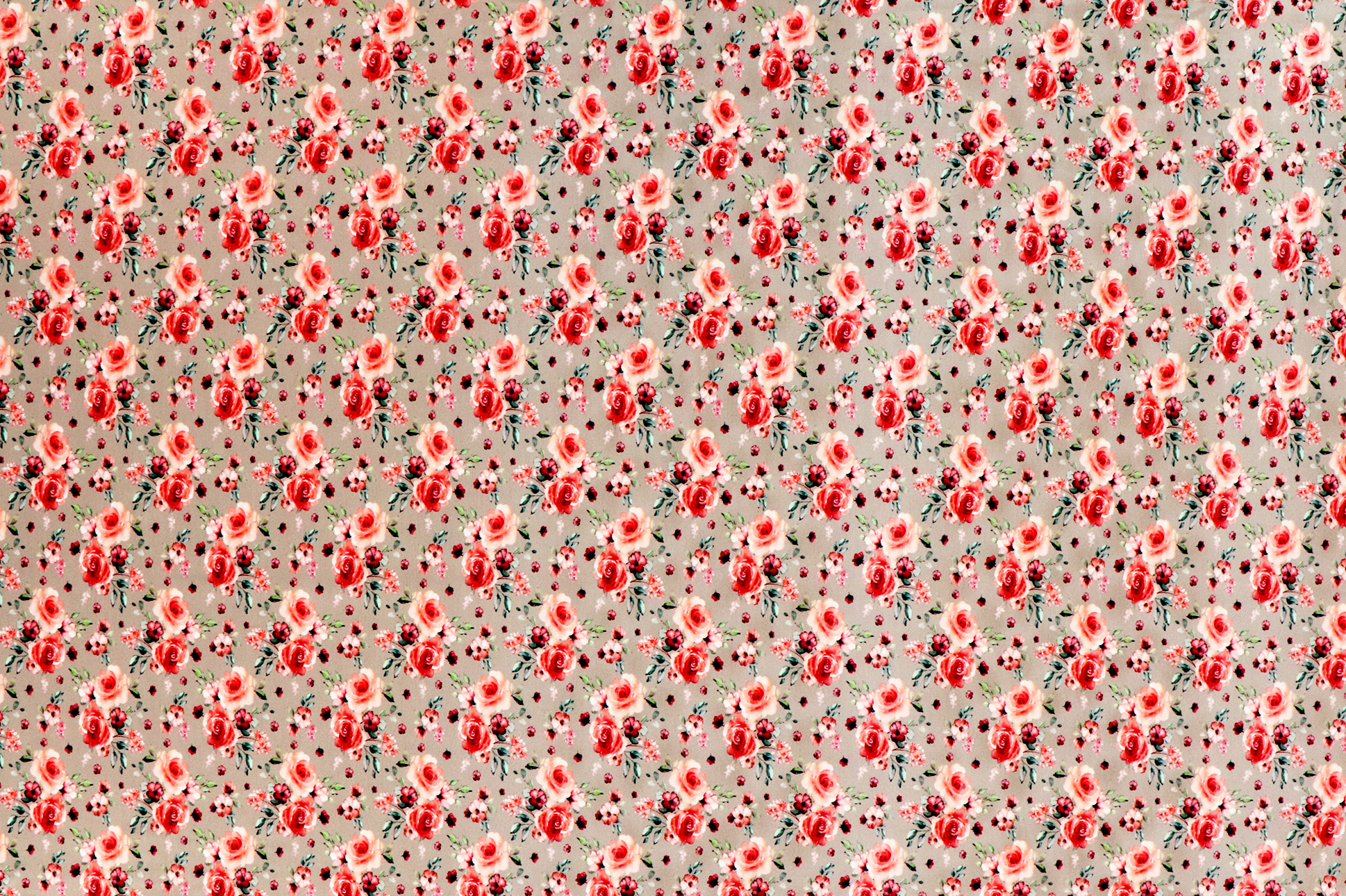 Baumwolljersey, rosa Rosen auf sand