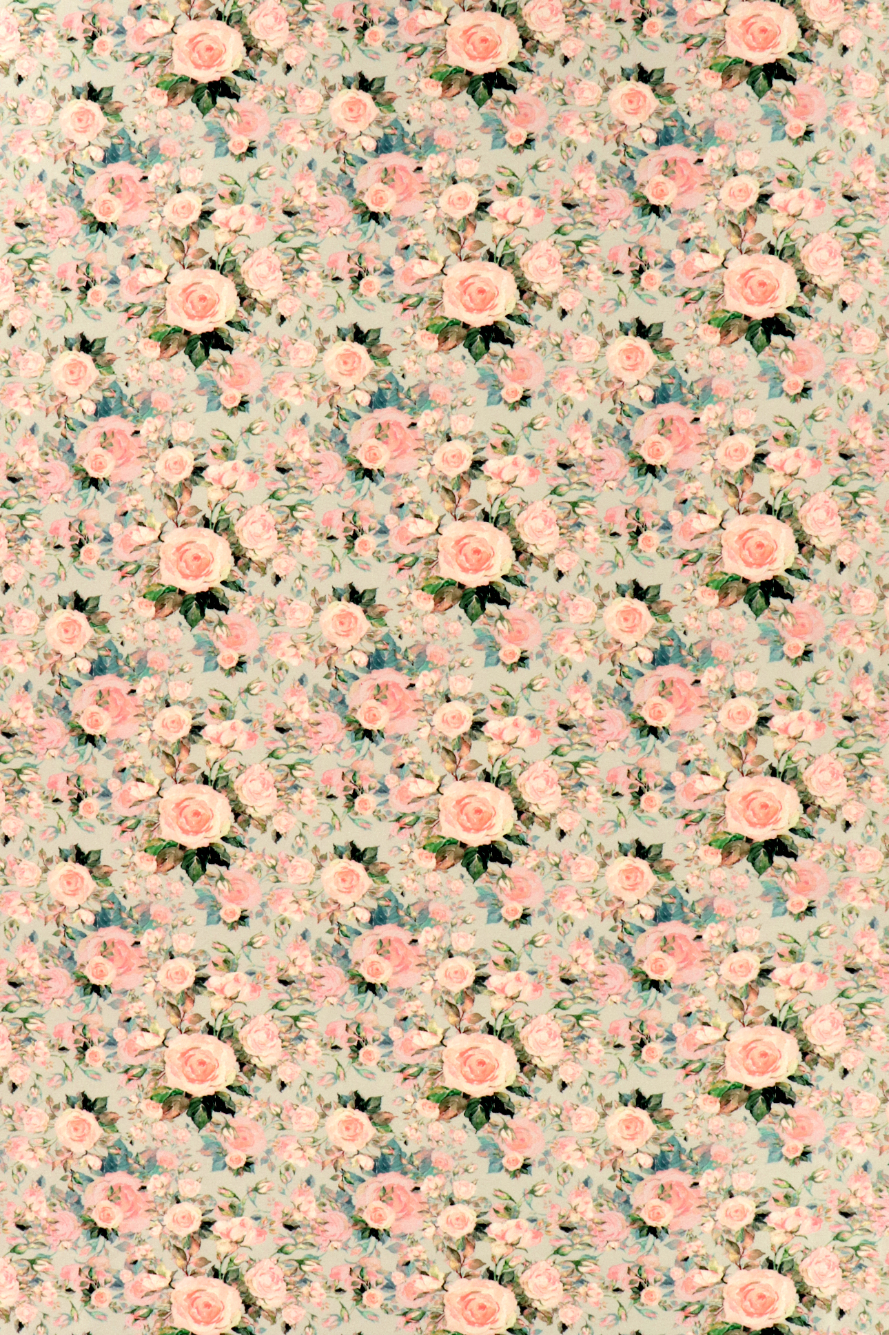 French Terry,  Rosenblüten in pastellfarben auf grau