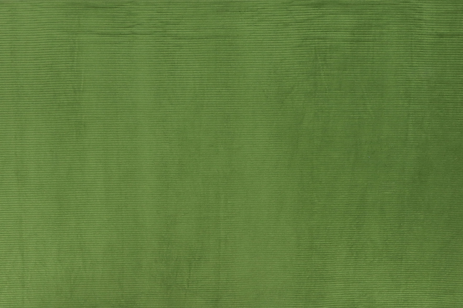 Cord, breit kiwi / grün