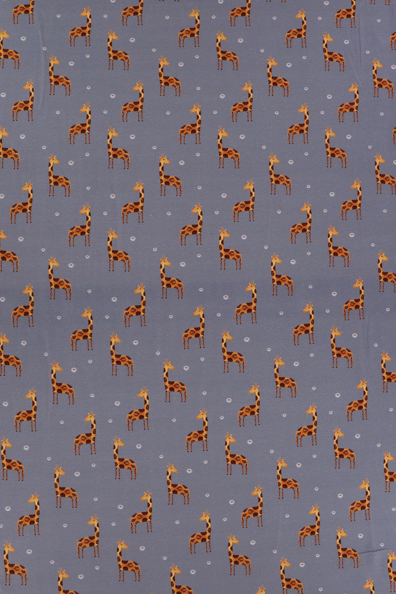 Baumwolljersey, Giraffe auf rauchblau