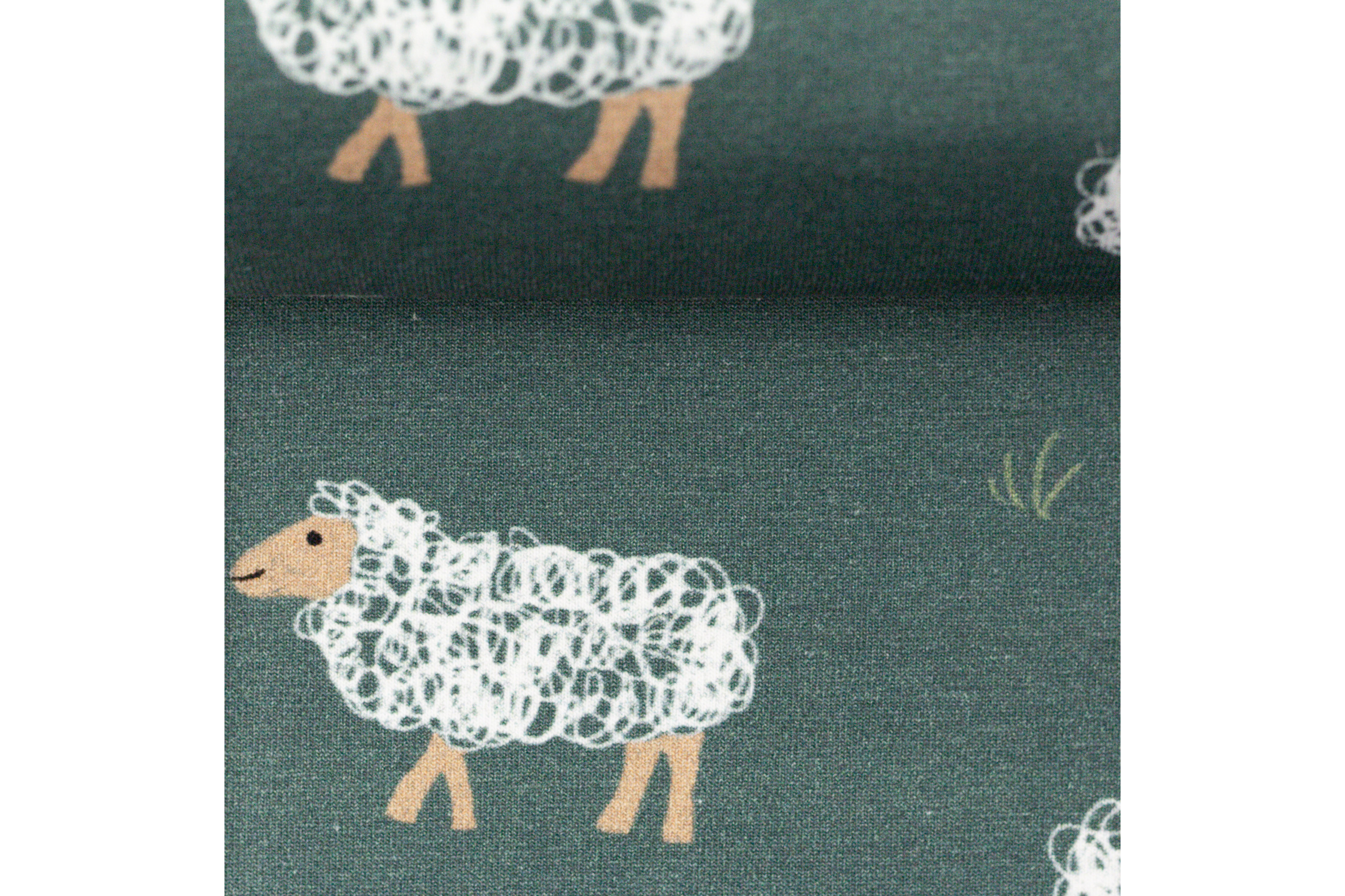 Baumwolljersey, Schafe auf salbeigrün