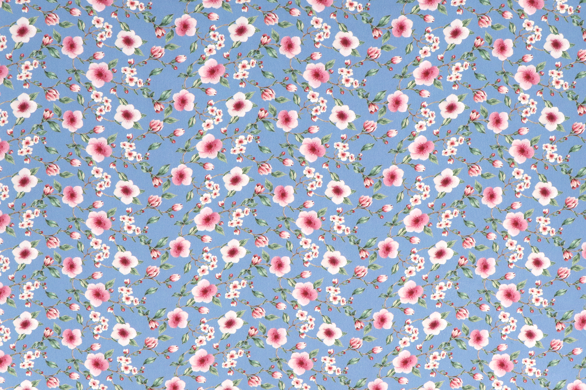 French Terry, Kirschblüten hellblau