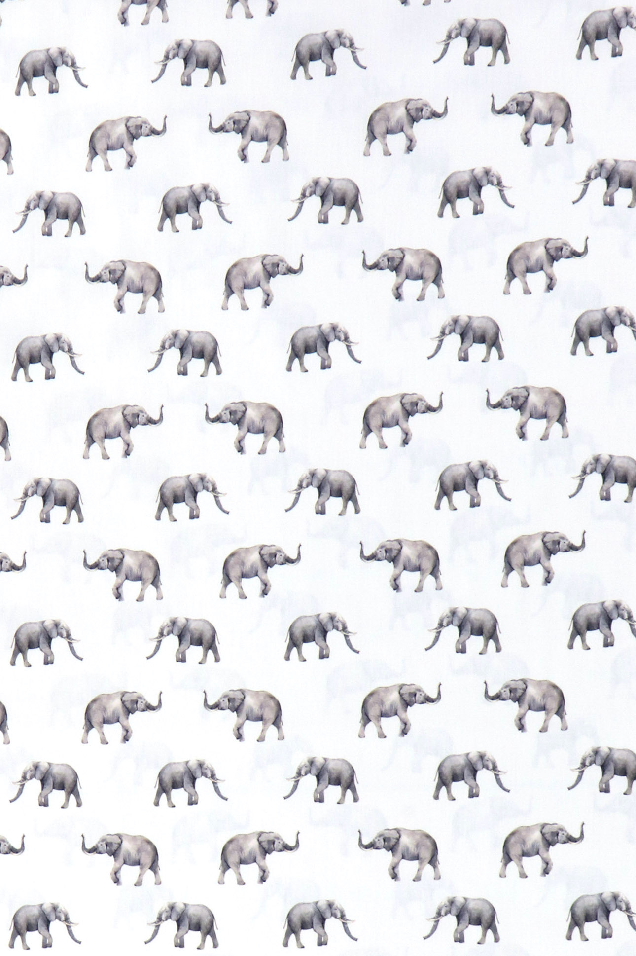 Baumwoll Popelin, Elefanten auf weiß