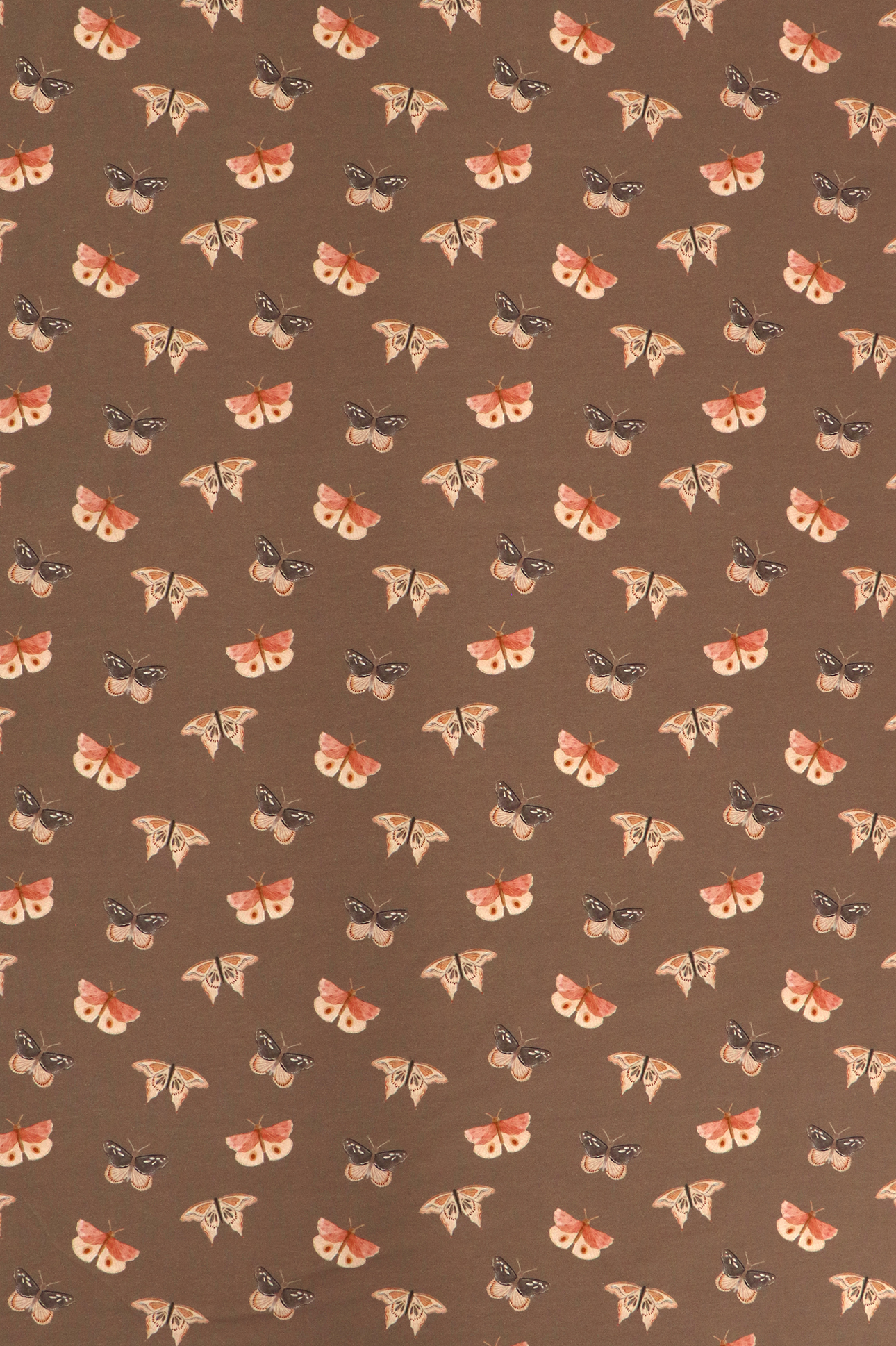 Baumwolljersey, Schmetterlinge auf taupe