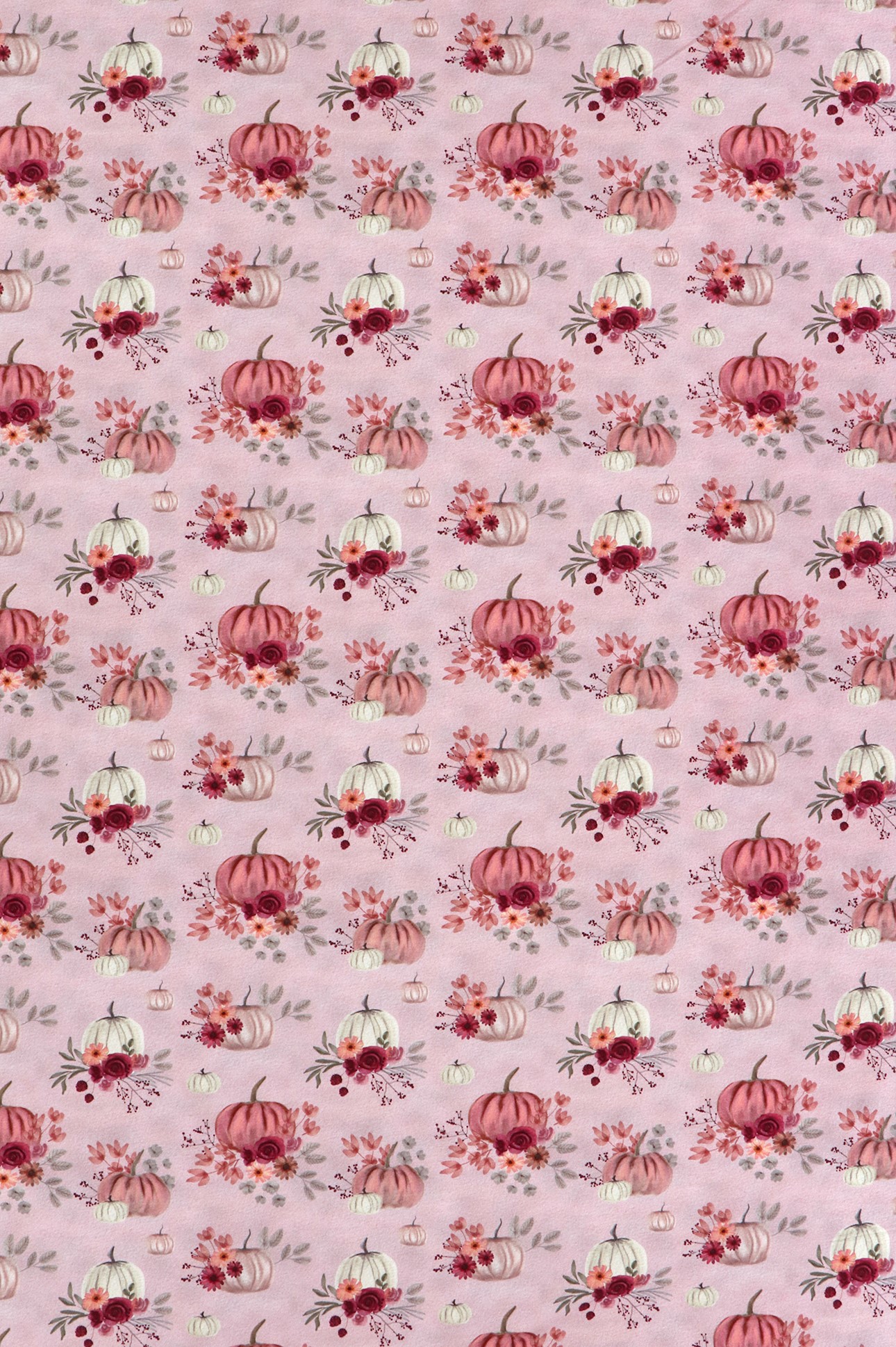 Baumwolljersey, Kürbisse und Blumen auf rosa