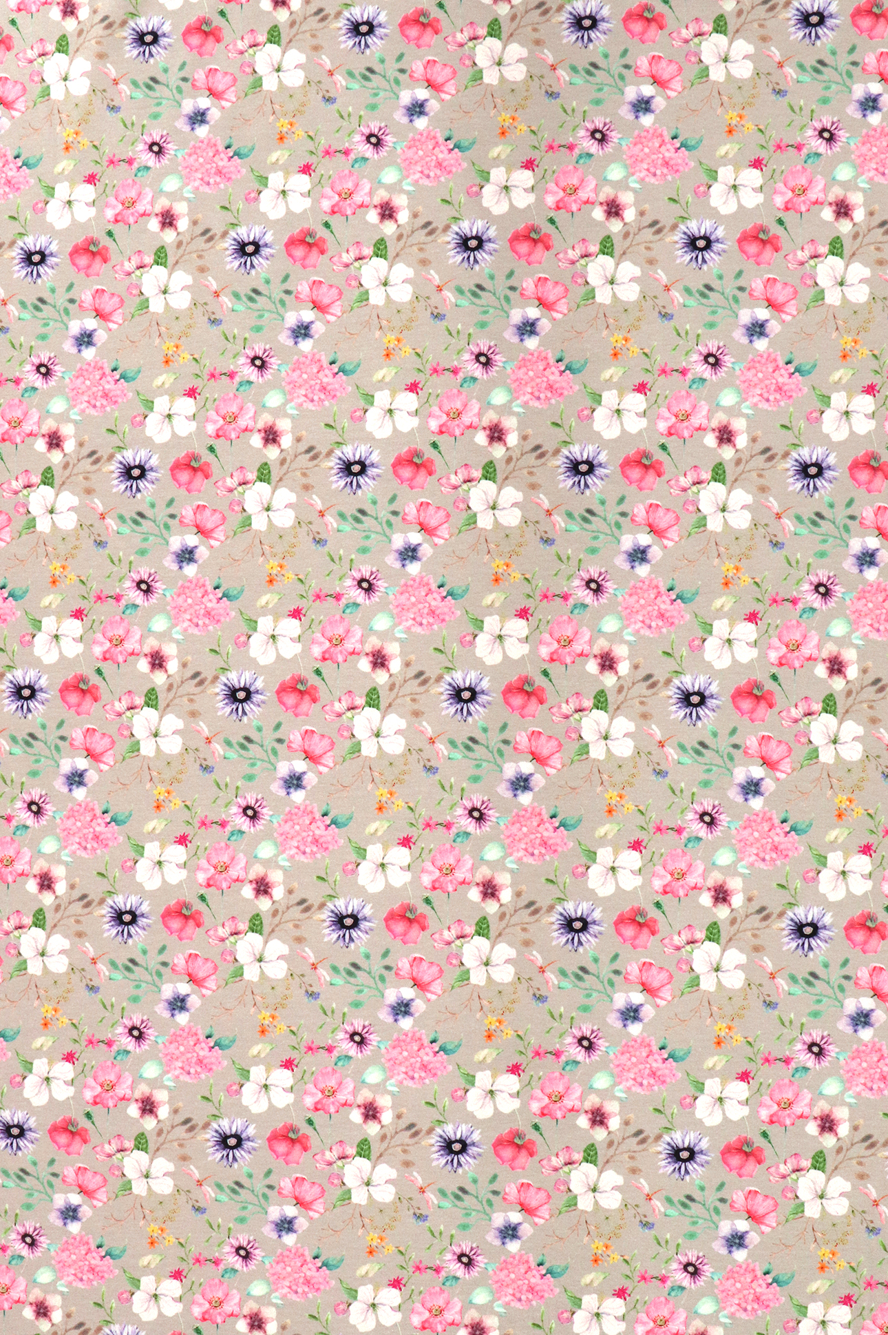 Baumwolljersey, wunderschönes Blumenmuster auf hellgrau Baumwolljersey, wunderschönes Blumenmuster auf hellgrau